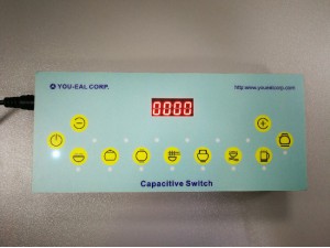 Induction cooker demonstration